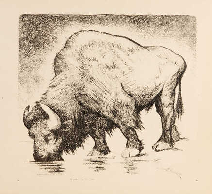 Шендеров Александр Семёнович. Бизон